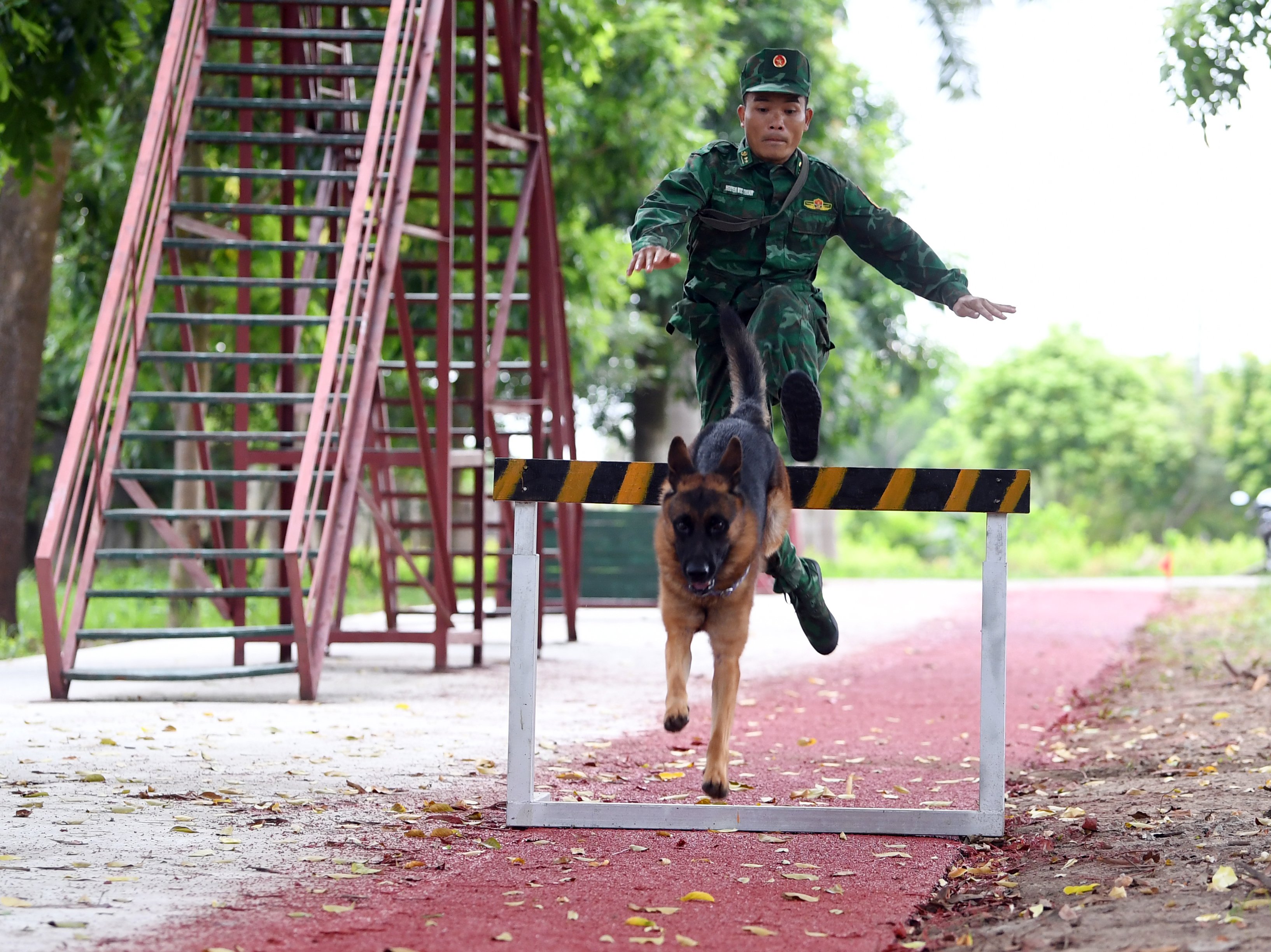 Tự tin thử sức cùng “người bạn trung thành”